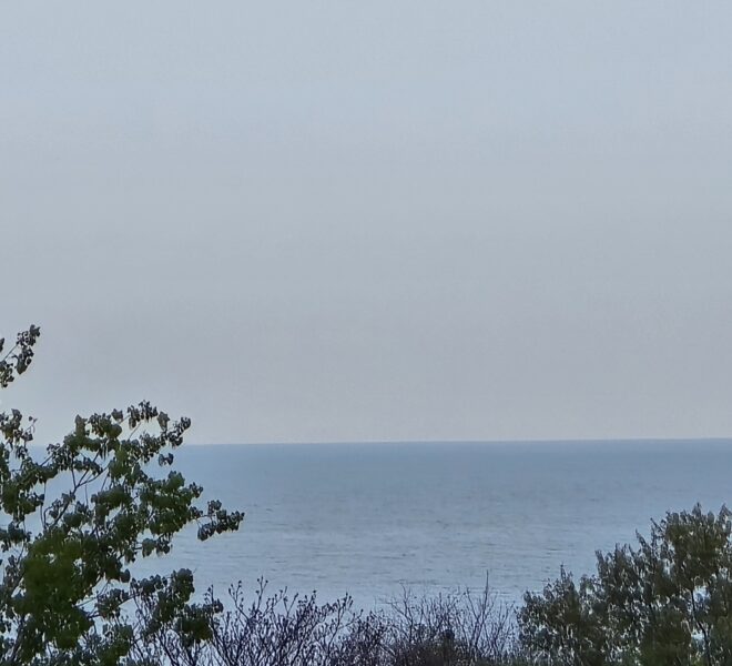 c1_20250505_22573397