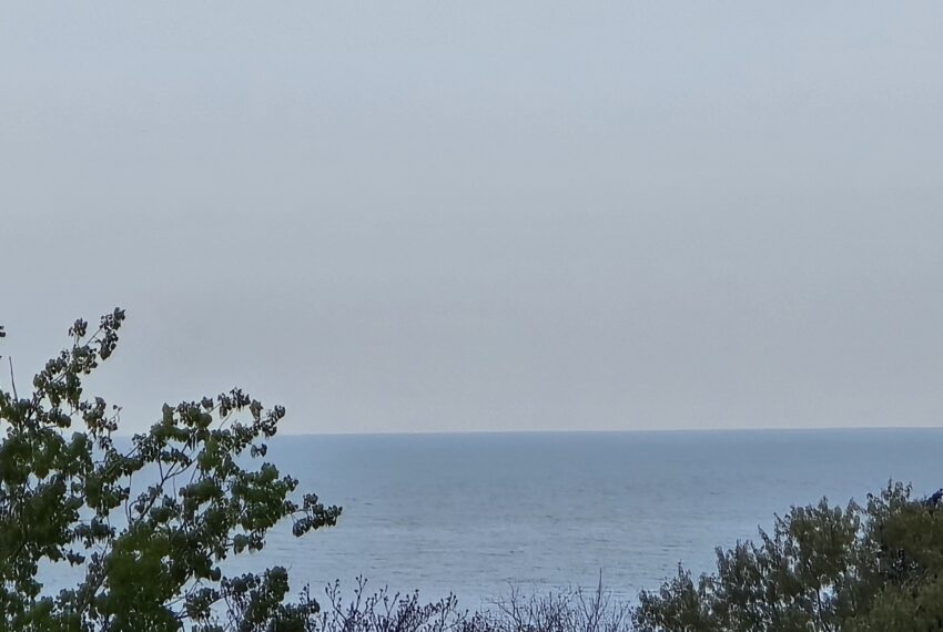c1_20250505_22573397