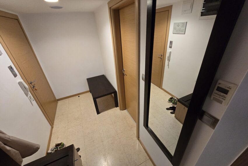 c1_20260108_20433328