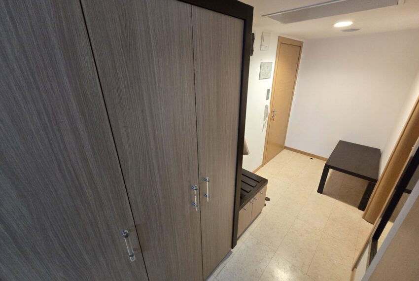 c1_20260108_20433372